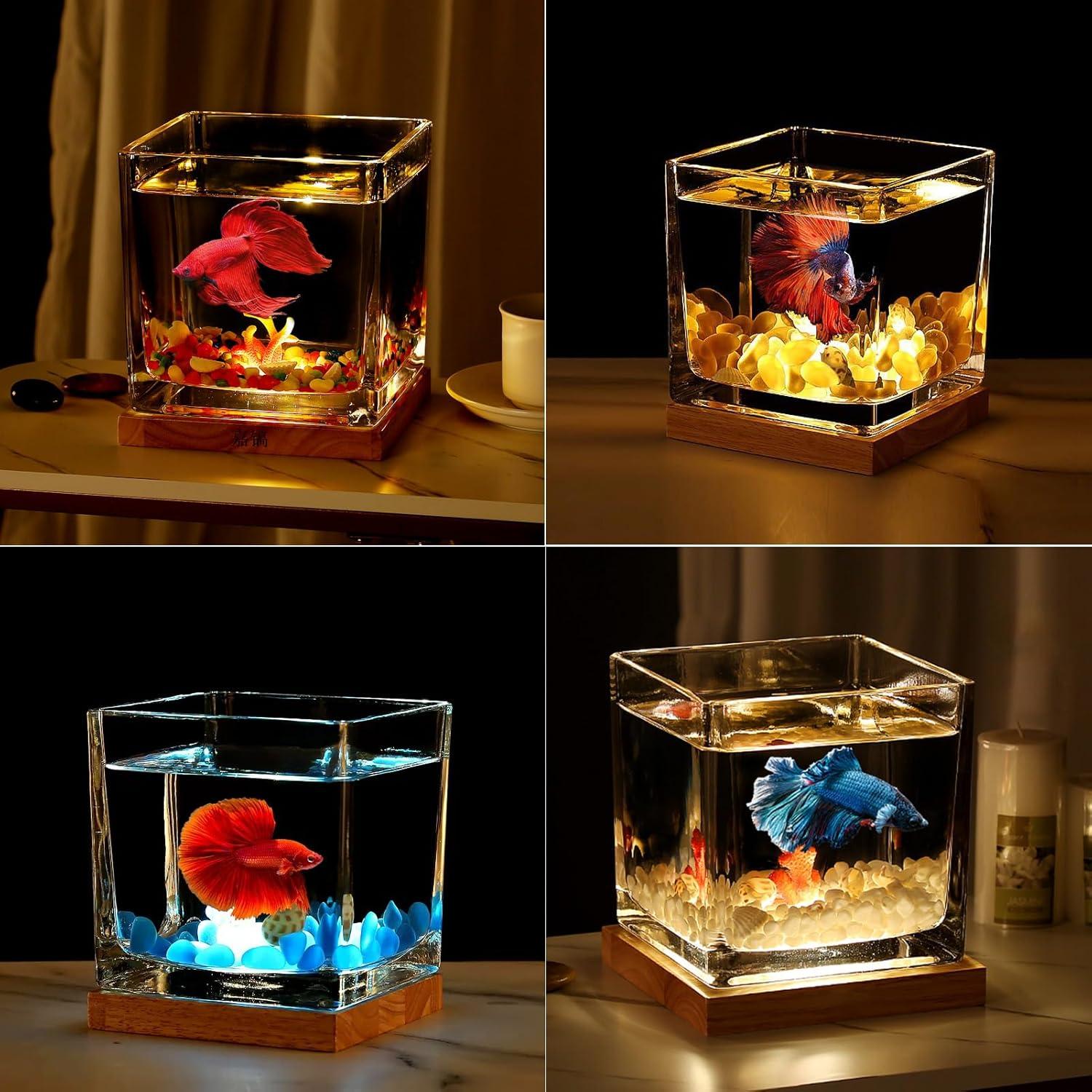 Kit Acuario de Vidrio SARUFO 3.06L con Base de Madera y Luz LED