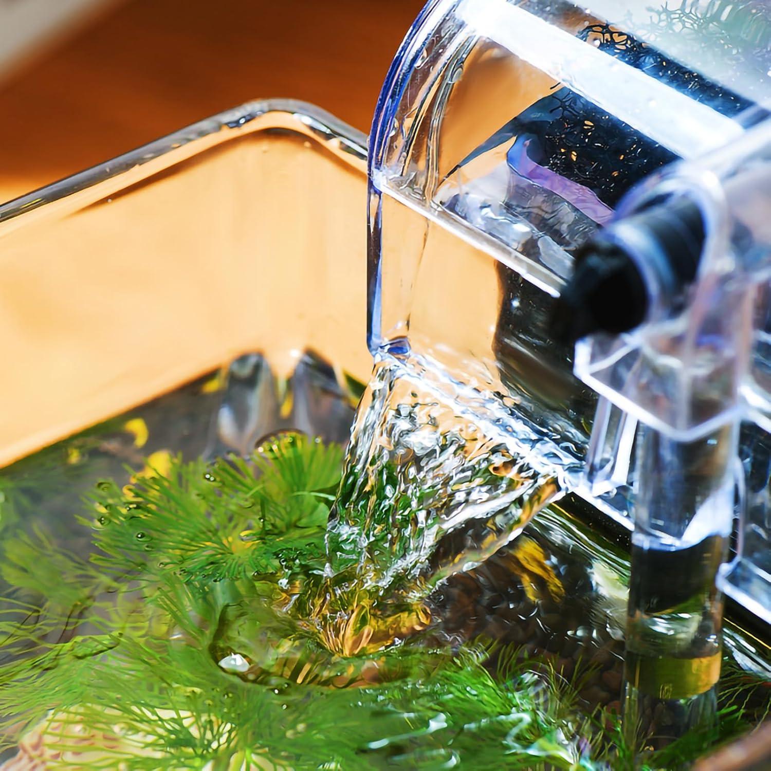 Kit Acuario de Vidrio SARUFO 3.06L con Base de Madera y Luz LED