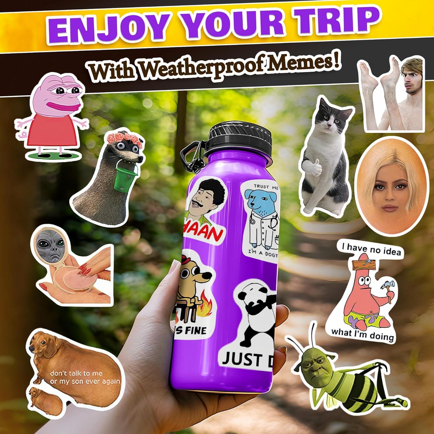 300 Pegatinas de Meme Divertido VIKROM - Impermeables y Únicas