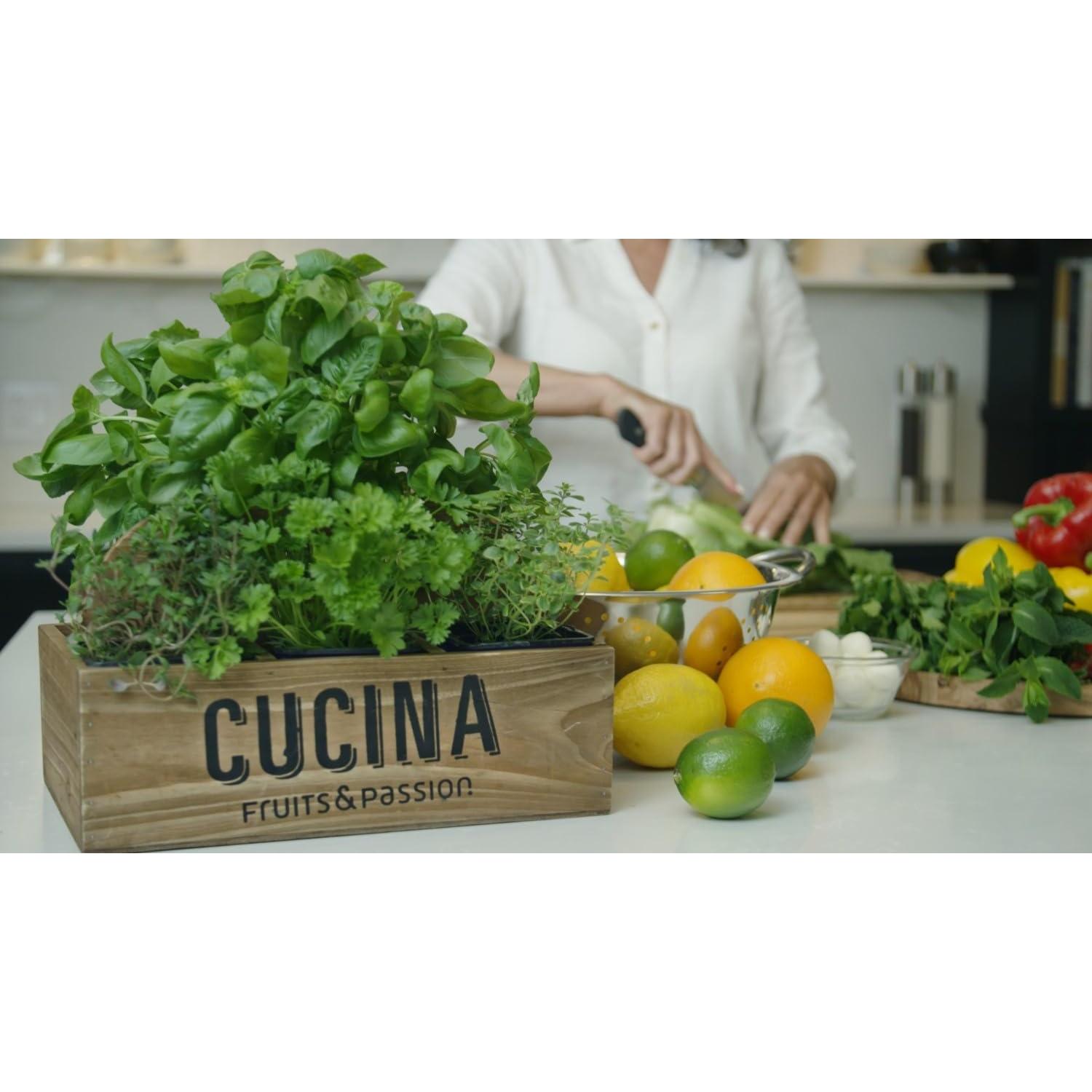 Jabón de Manos Orgánico Cucina 1L Cilantro y Olivo Vegano