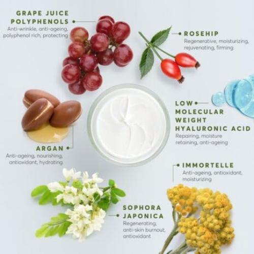 Crema de Día Antienvejecimiento Aphrodite 48.2 g con Phyto-Retinol