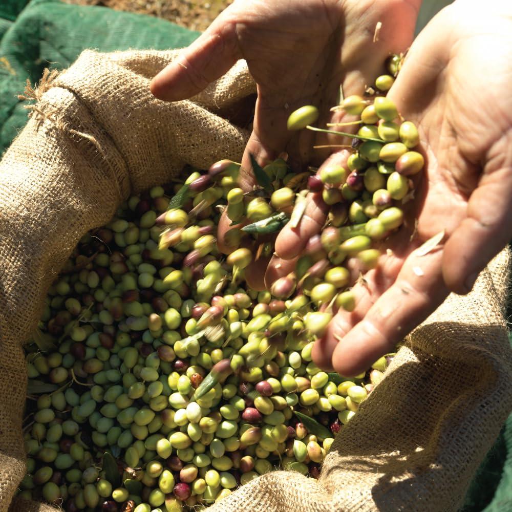 Aceite de Oliva Virgen Extra Iliada 3L Koroneiki PDO Griego