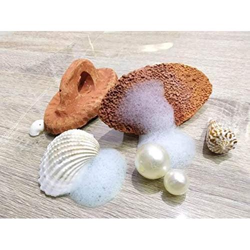 Piedra Pómez Natural Cosynee 12.7x6.35cm Exfoliador de Pies