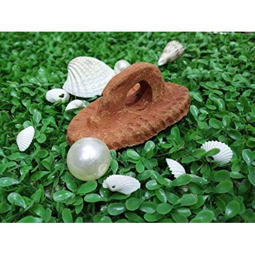 Piedra Pómez Natural Cosynee 12.7x6.35cm Exfoliador de Pies