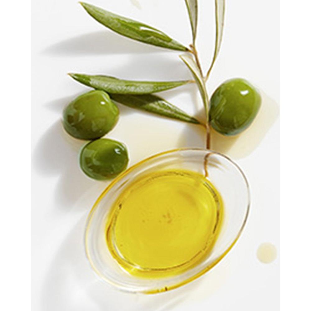 Champú Reponedor Garnier Whole Blends Aceituna 650 ml