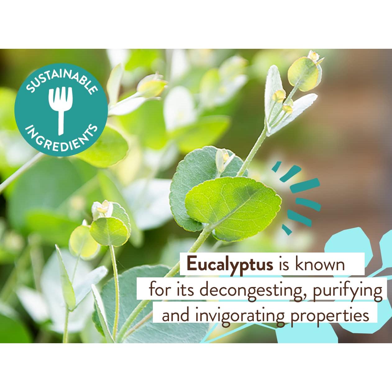 Champú y Lavado Eucalipto Babo Botanicals 450g - Vegano