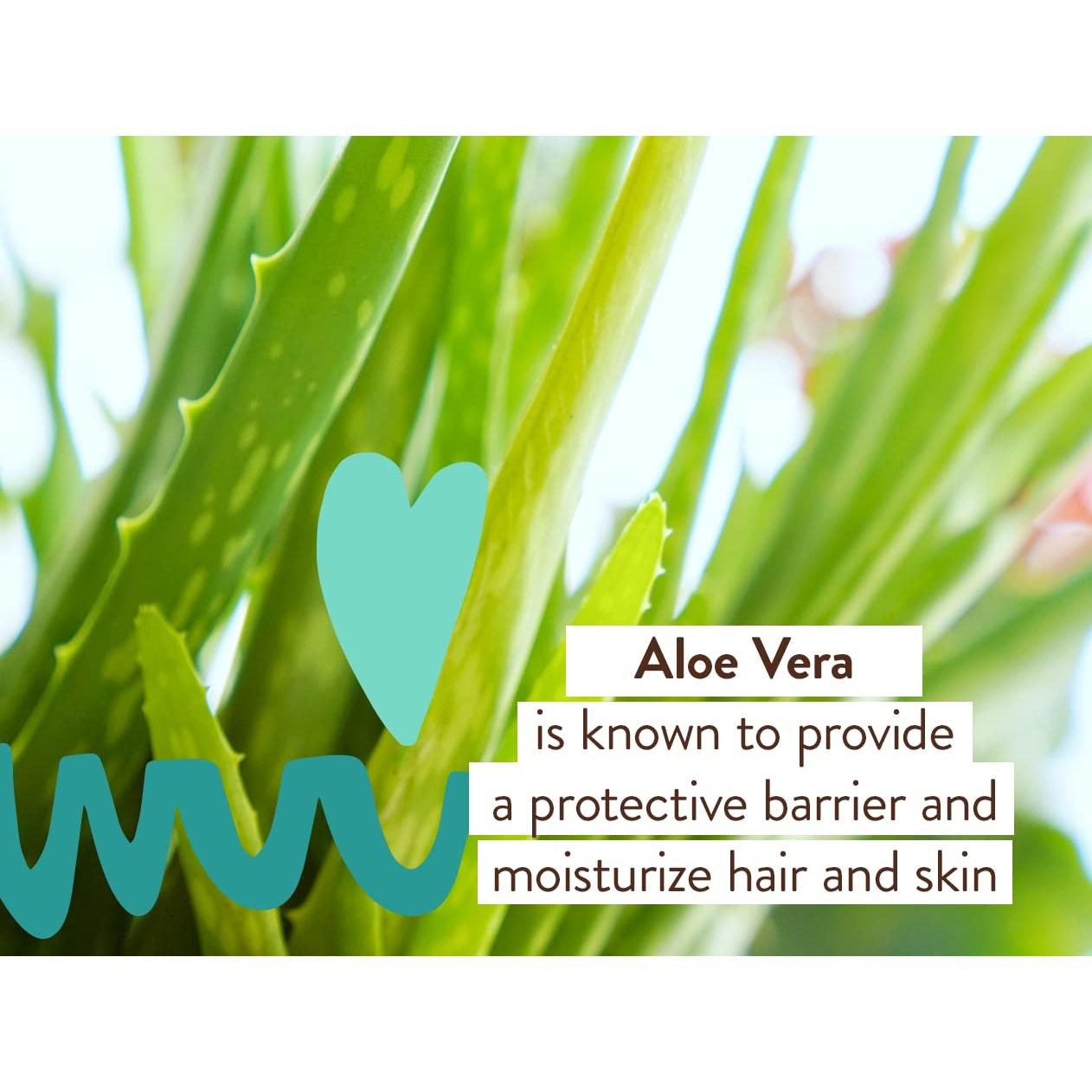 Champú y Lavado Eucalipto Babo Botanicals 450g - Vegano