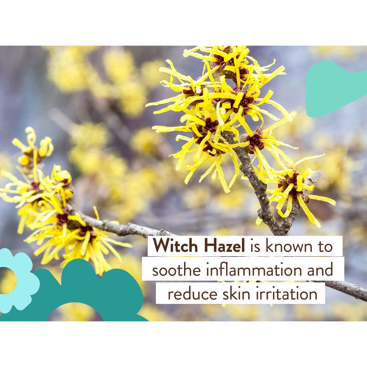 Champú y Lavado Eucalipto Babo Botanicals 450g - Vegano