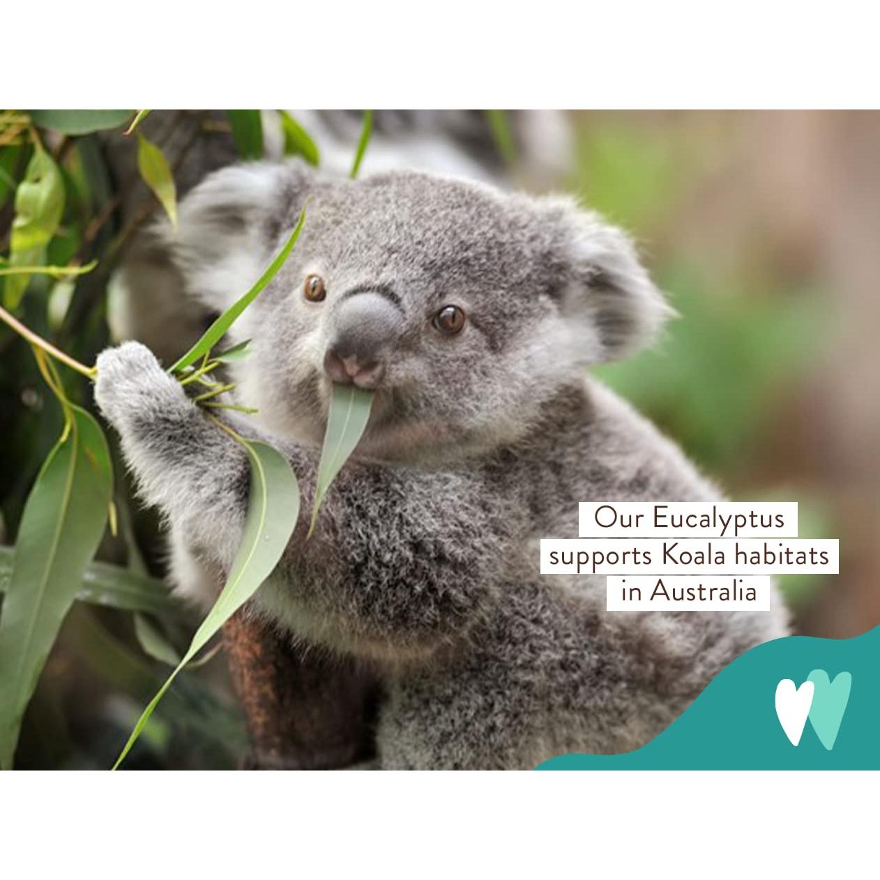 Champú y Lavado Eucalipto Babo Botanicals 450g - Vegano