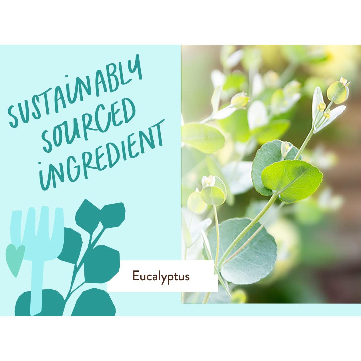 Champú y Lavado Eucalipto Babo Botanicals 450g - Vegano