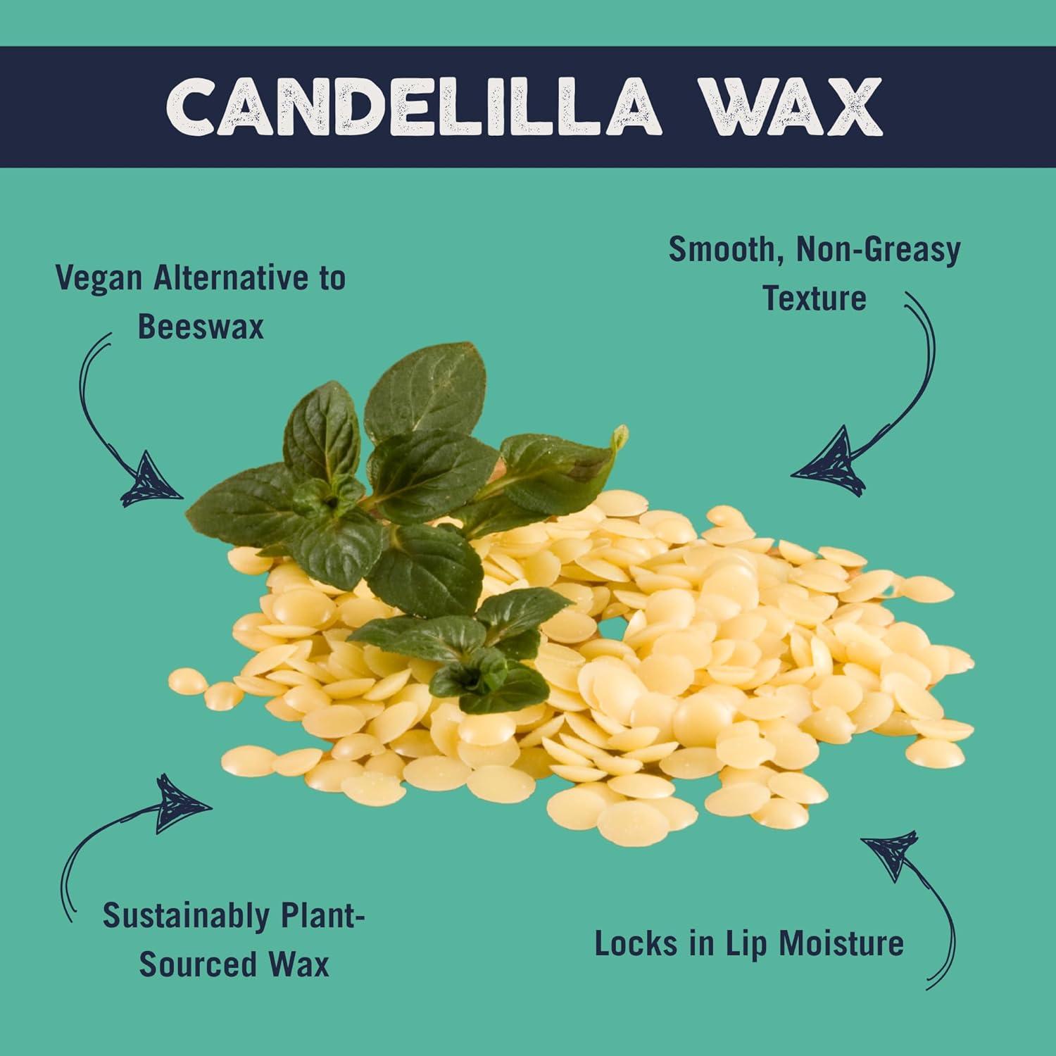 Bálsamo Labial Vegano Eco Lips Bee Free 100% Natural - 6 Tubos