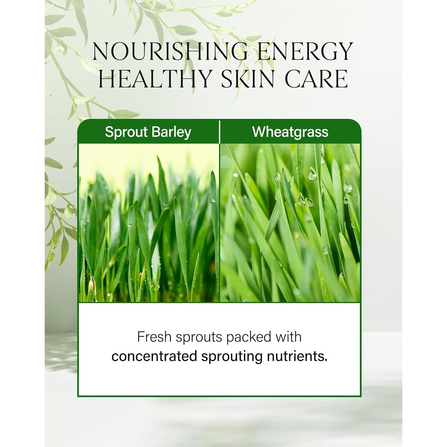 Aceite Limpiador Suave pH Sprout 195ml - Cuidado Piel Sensible