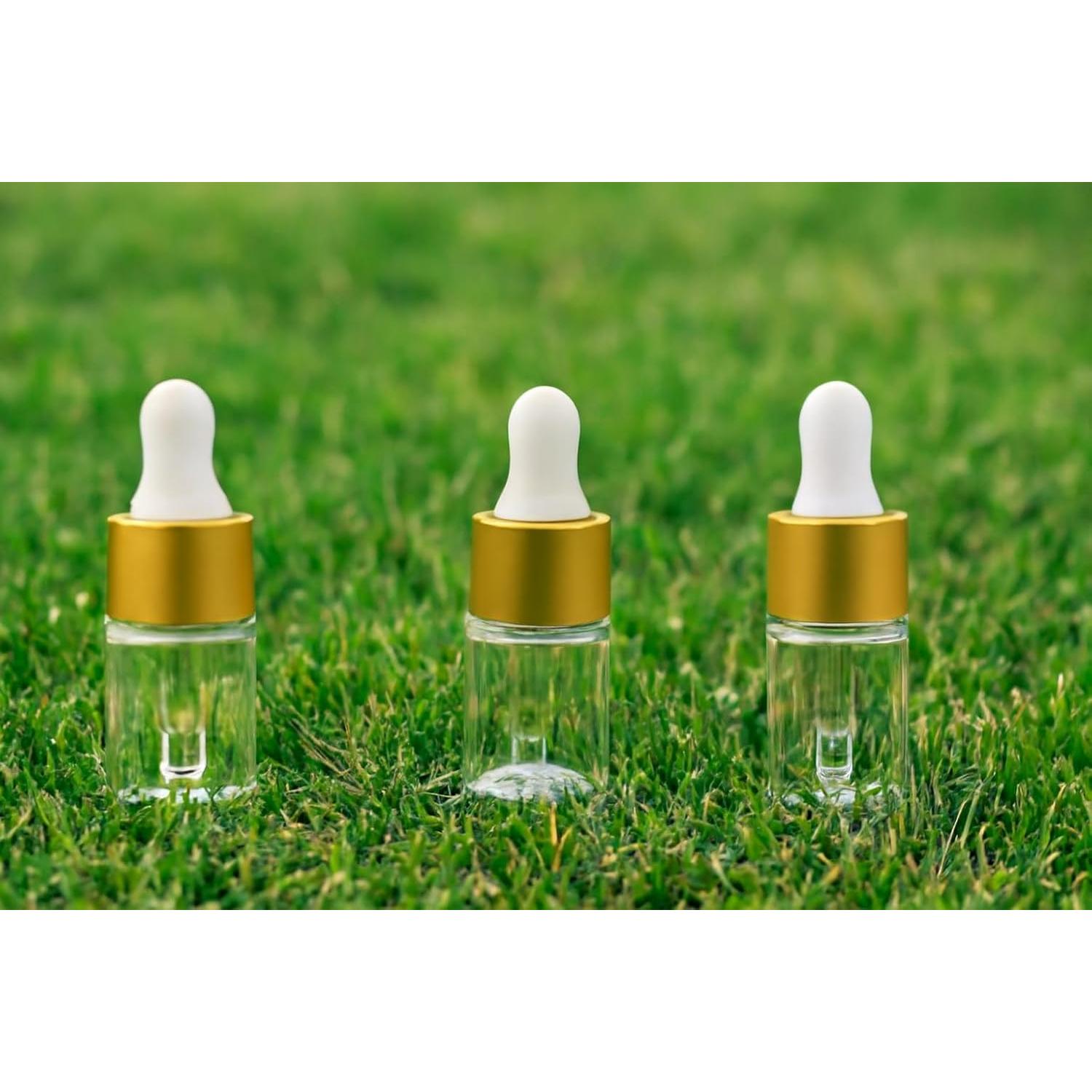 Botellas de Goteo de Vidrio Mini 2ml Parfumlism - 100pcs