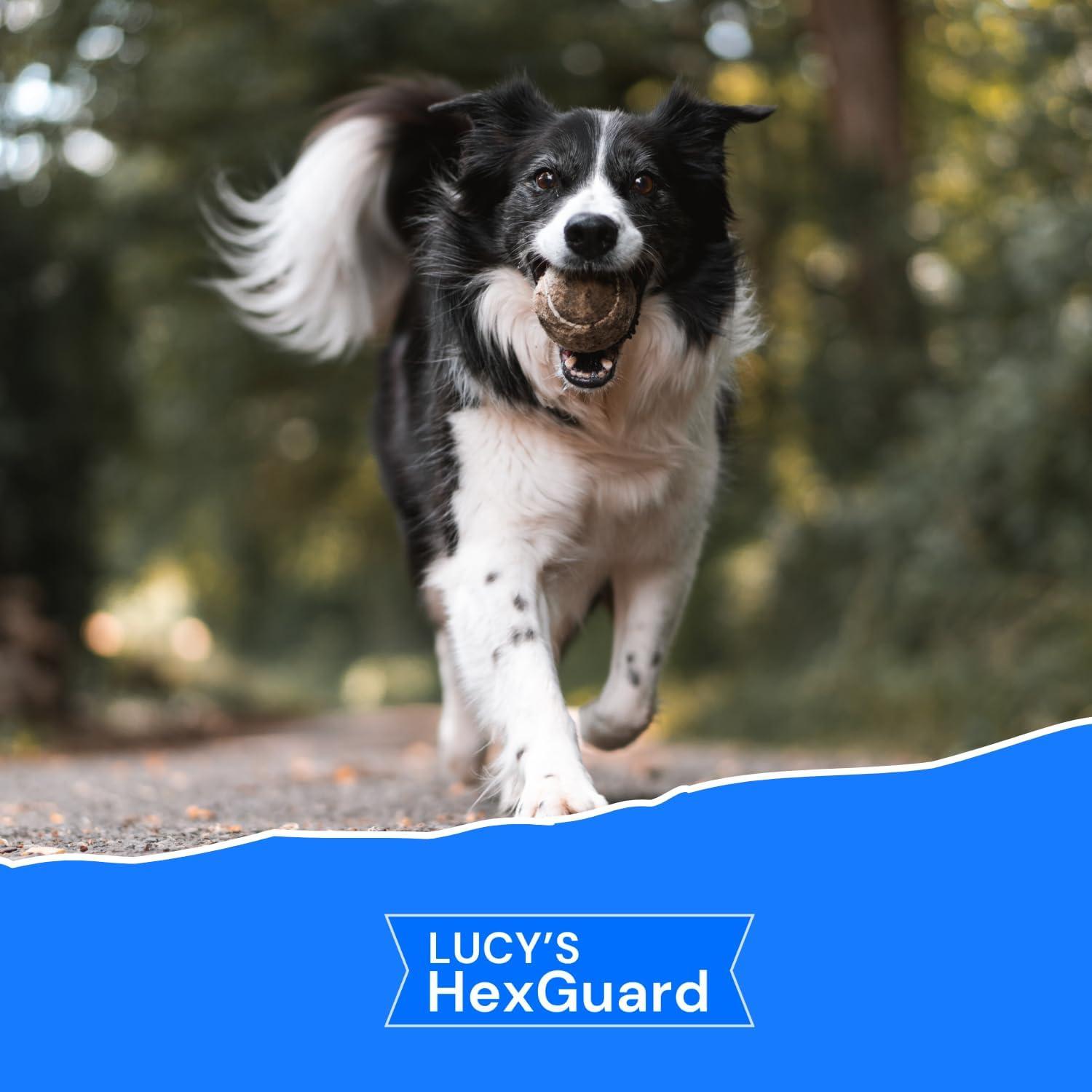 Champú Alivio Irritaciones Piel Lucy 340g - Hipoalergénico