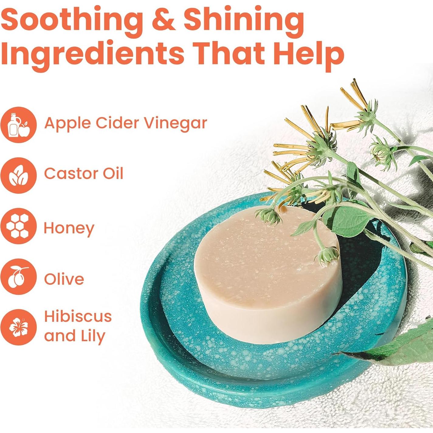 Jabón Sólido para Perros Project Sudz SpaBar - Hibisco y Lirio