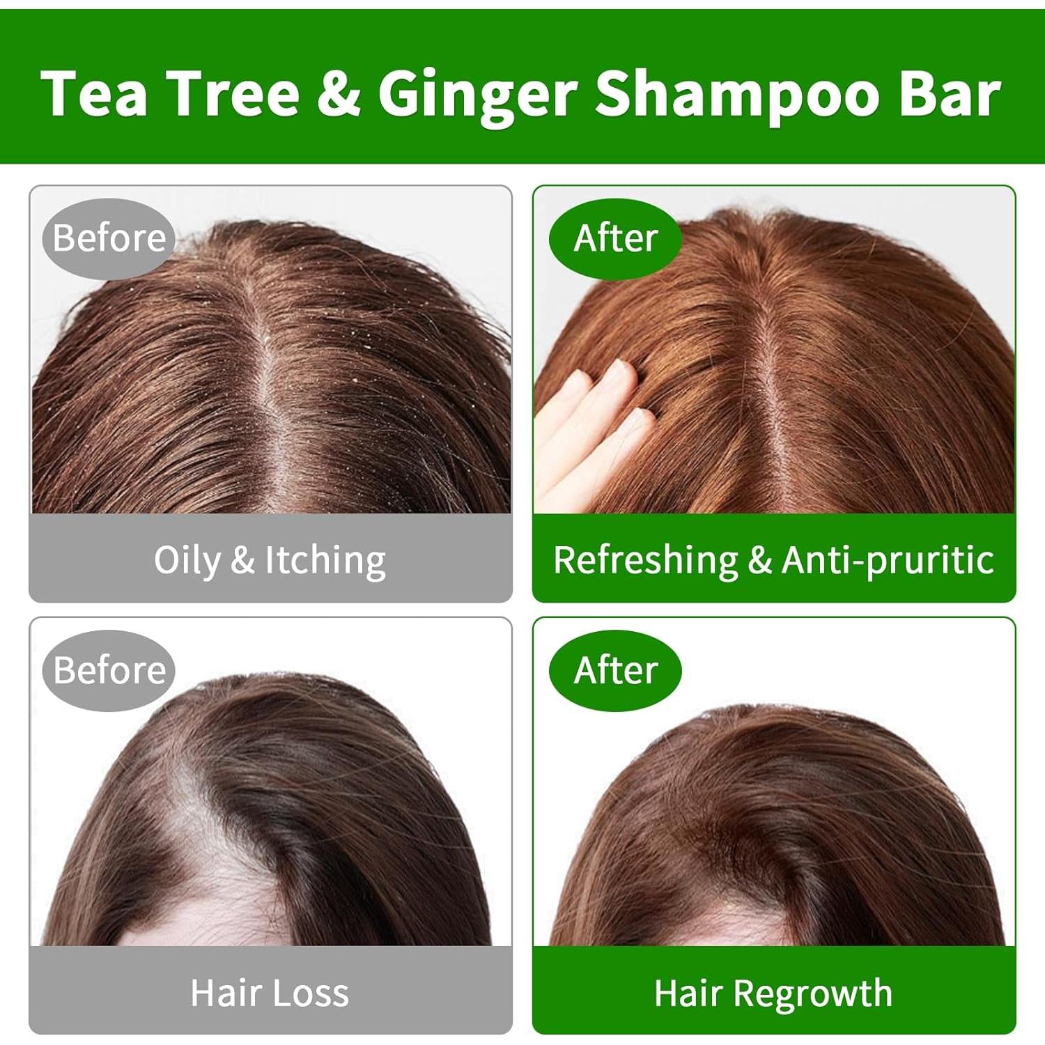 Champú y Acondicionador en Barra Pubpok Jengibre y Árbol de Té