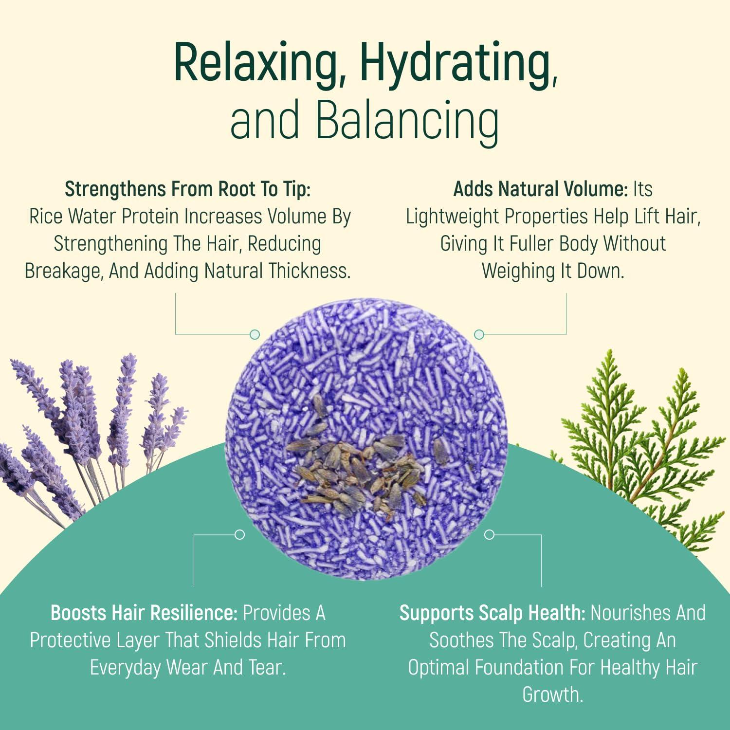 Barra de Champú Natural Lavanda BAMBOEARTH - 12 Unidades