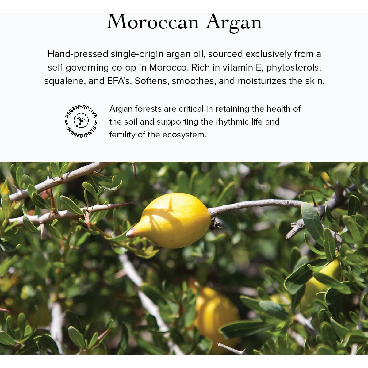 Suero Facial Sanctuary Evanhealy 79g - Multi-Omega Piel Sensible