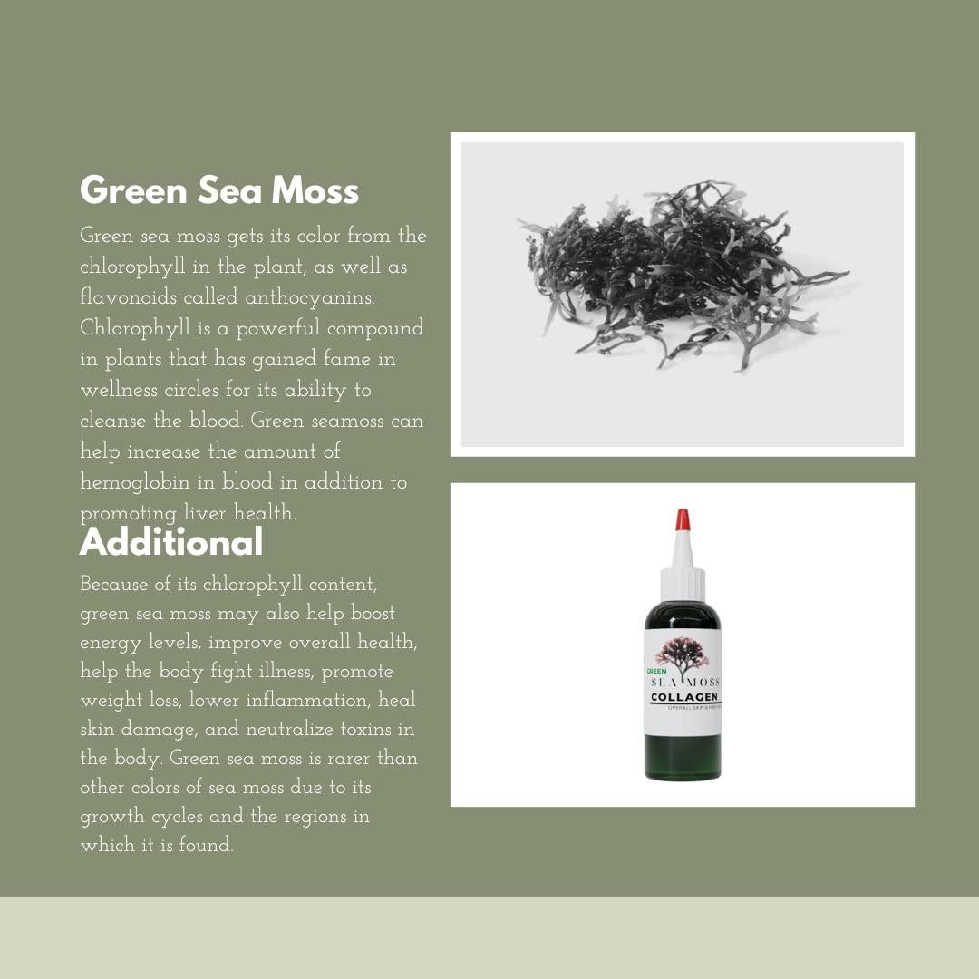 Aceite de Colágeno de Musgo Marino Soapoils 113ml Hidratante