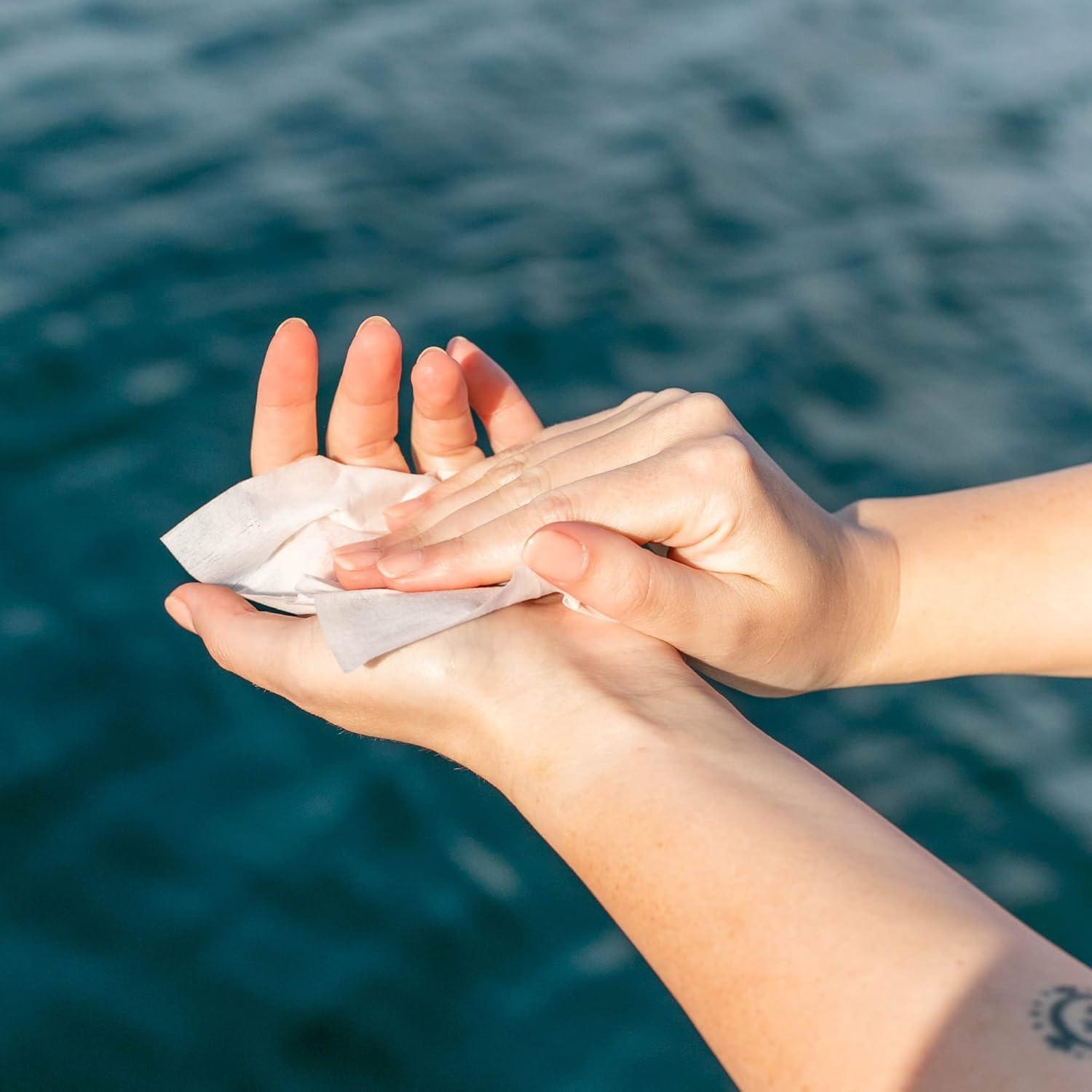 Toallitas Húmedas Desechables Freshends - 300 Unidades - Piel Sensible