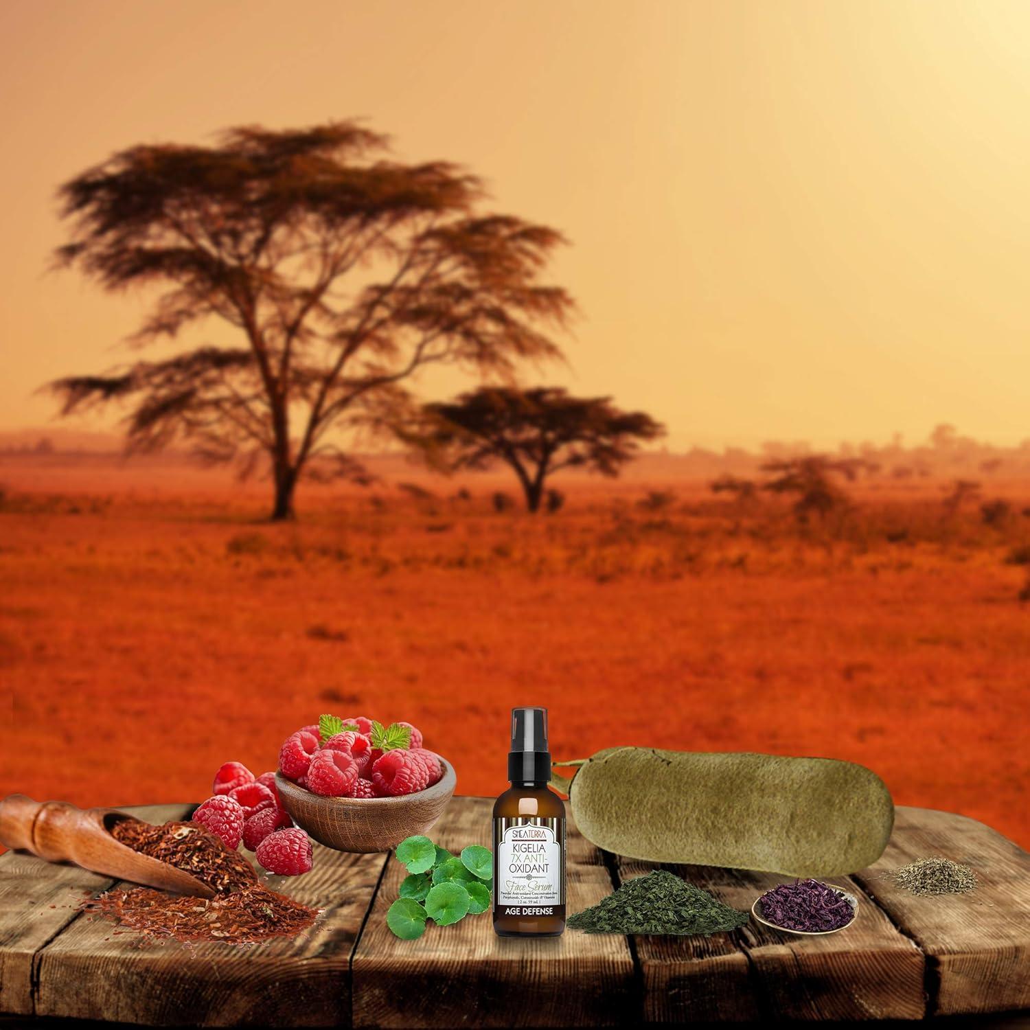 Suero Facial Antioxidante Shea Terra 59ml - Antienvejecimiento