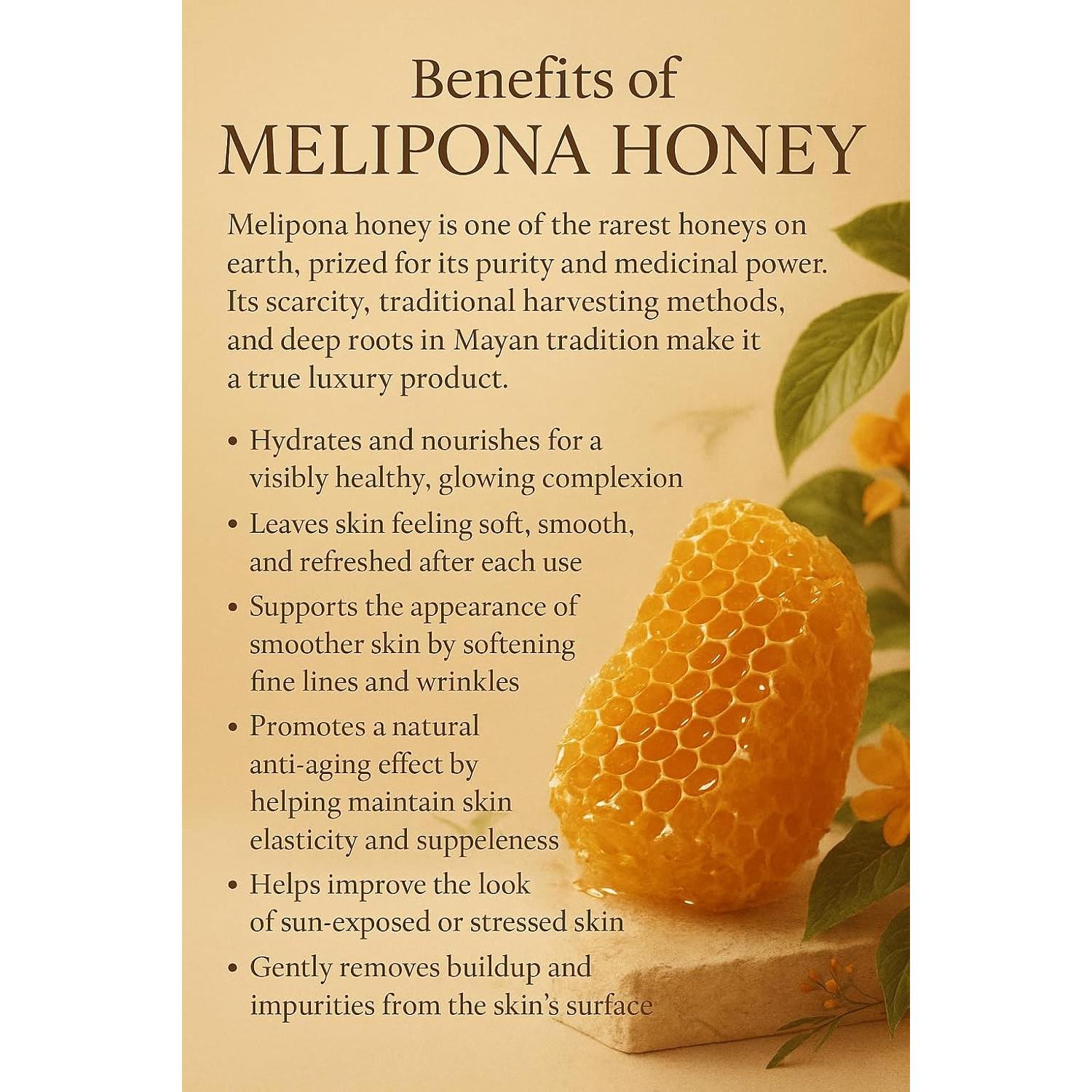 Mascarilla Facial de Miel Melipona Yucatán Gold 381g Hidratante