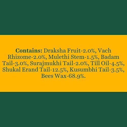 Bálsamo Labial Biotique Bio Fruit 12g - Aclarante Frutal