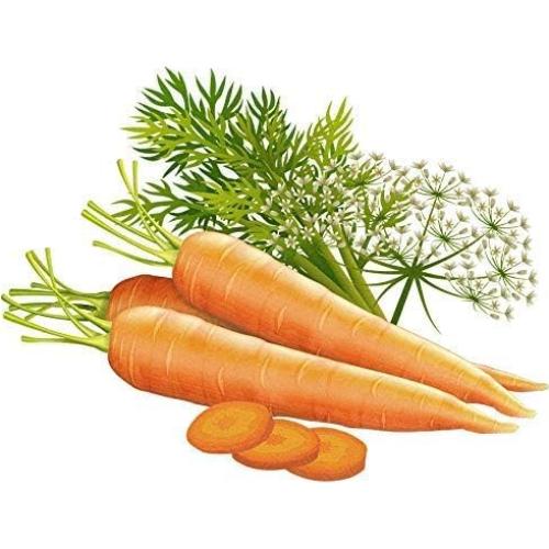 Aceite Corporal Antienvejecimiento Semilla de Zanahoria 120ml