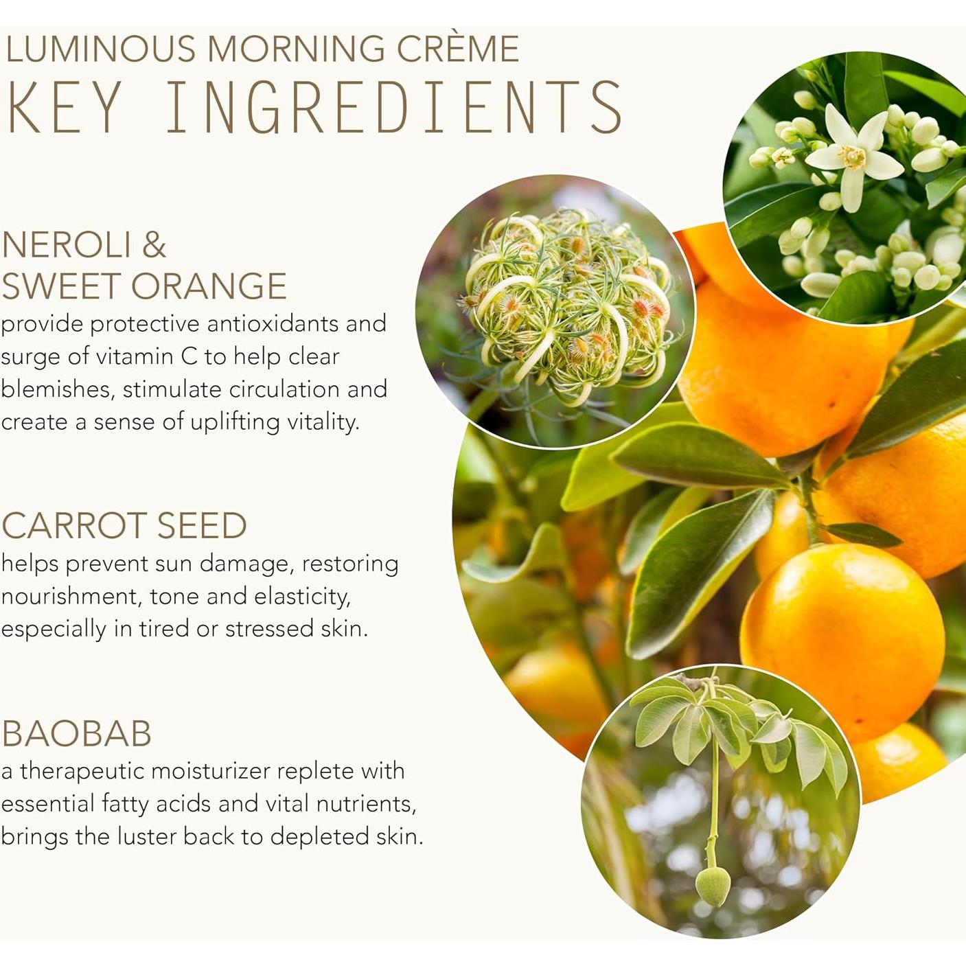 Crema Matutina Luminosa Tammy Fender 65 g - Hidratante Natural