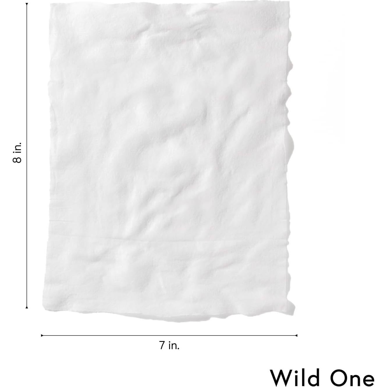 Toallitas Naturales para Perros Wild One Eucalipto 70 Unidades