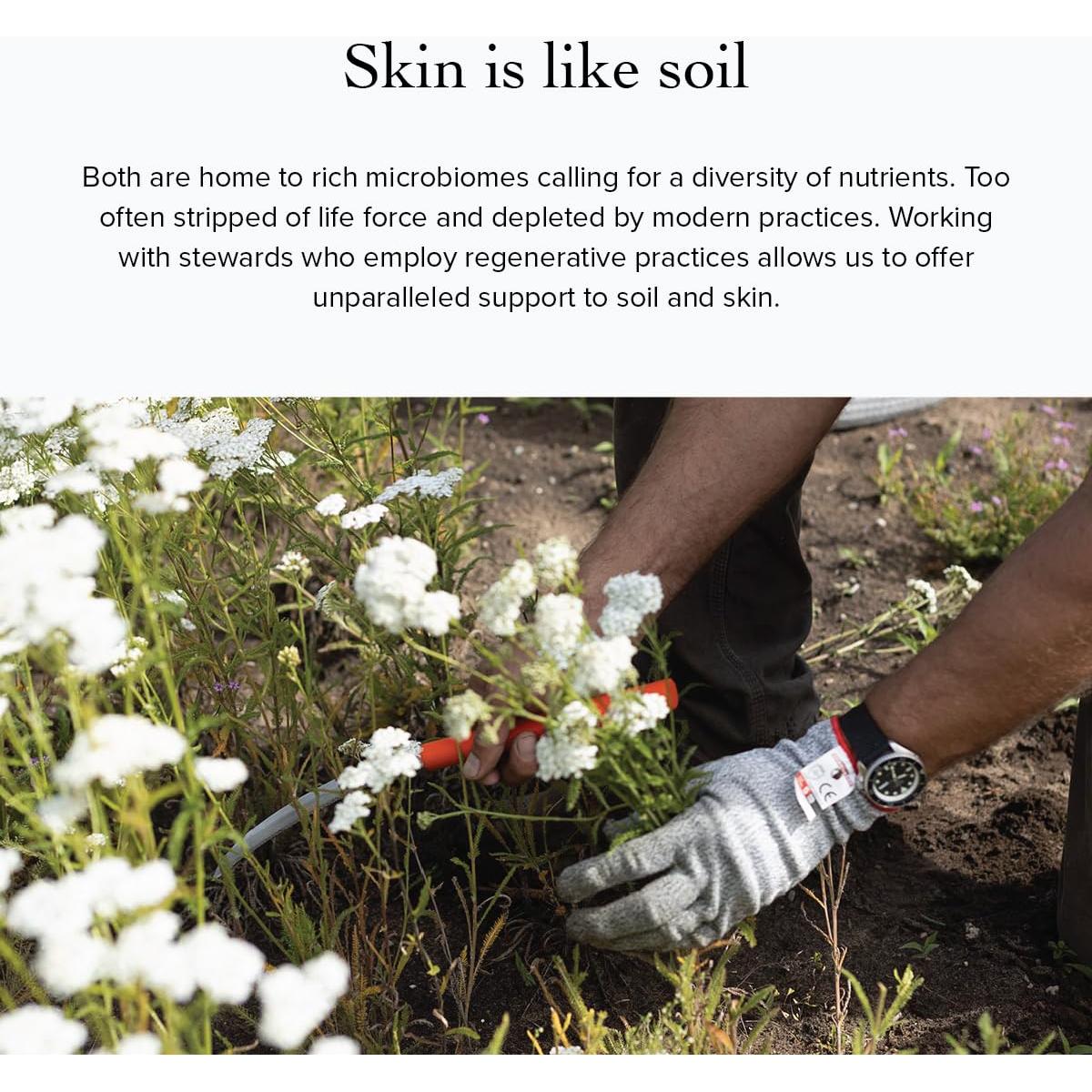 Máscara de Arcilla Verde Evanhealy 59g - Exfoliante y Purificante