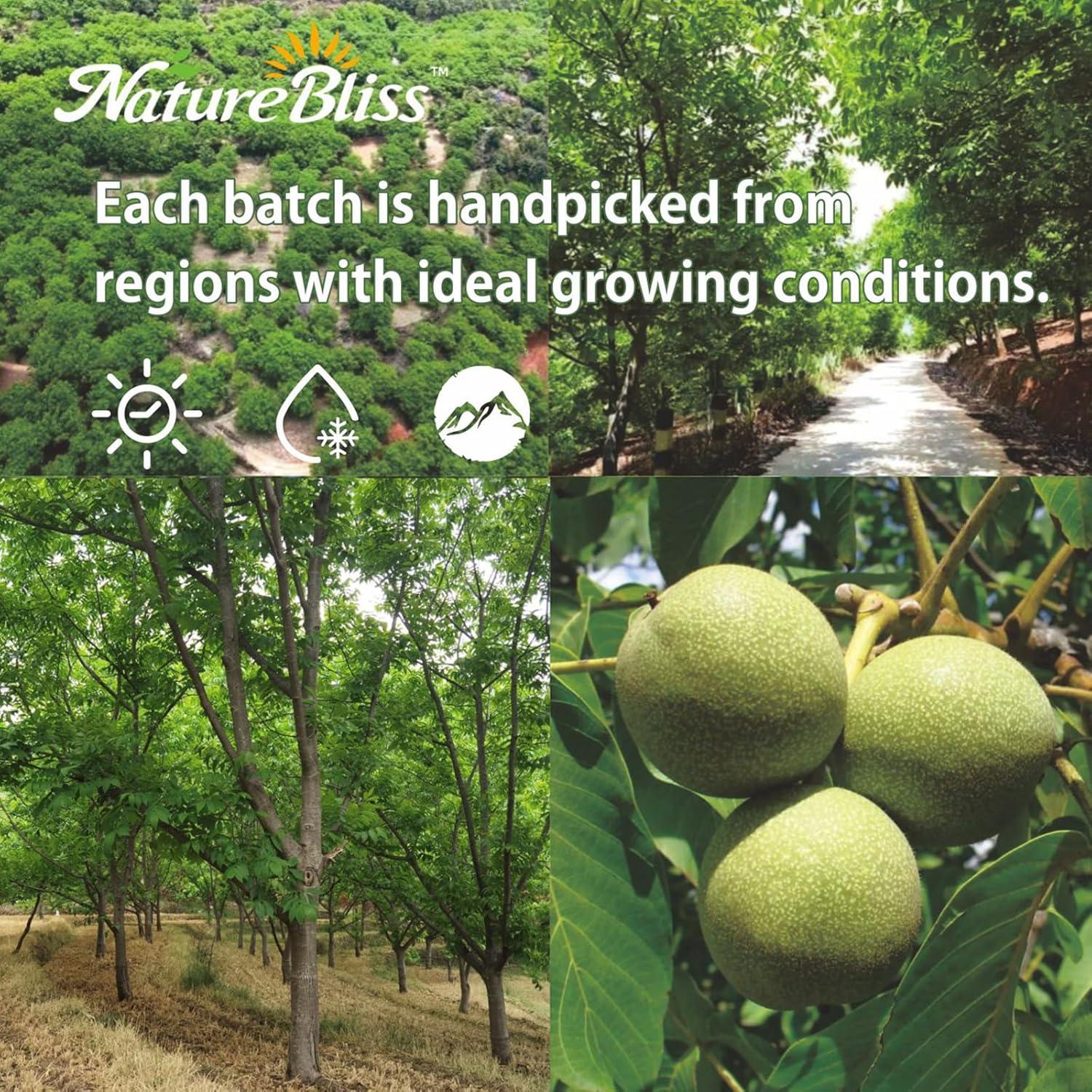 Nueces Peladas Naturebliss 99.22 g - Snack Saludable Sin Sal