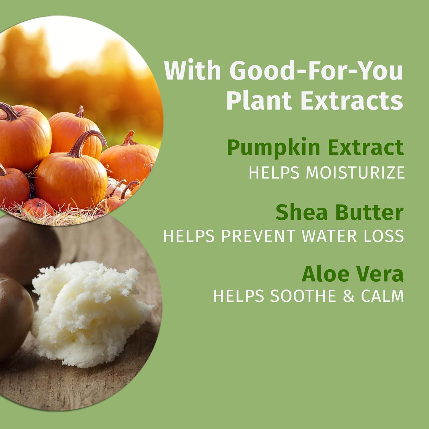 Bálsamo Labial Nutritivo Hempz Calabaza Especiada 13 ml