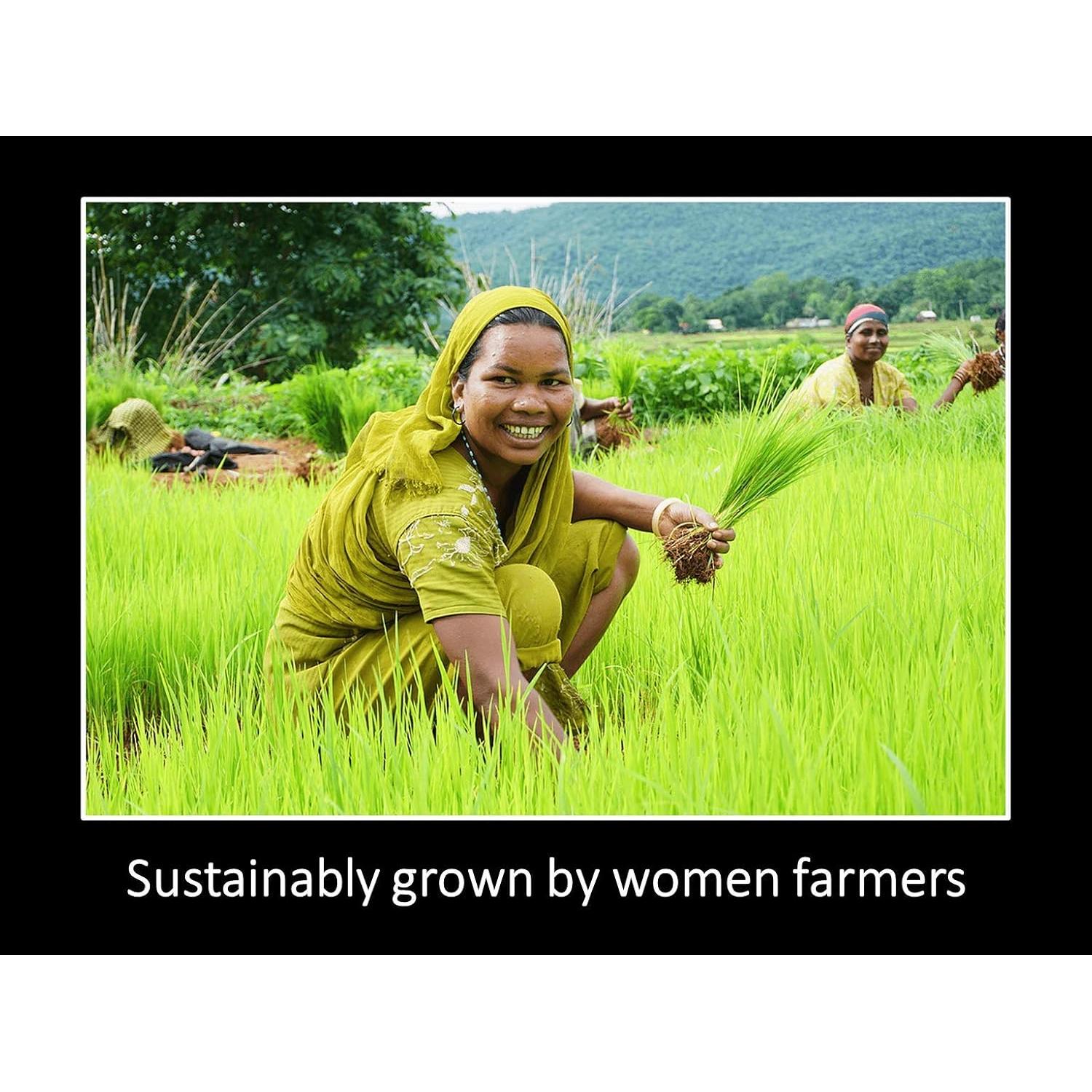 Aceite de Girasol Daana 340ml Orgánico Prensado en Frío