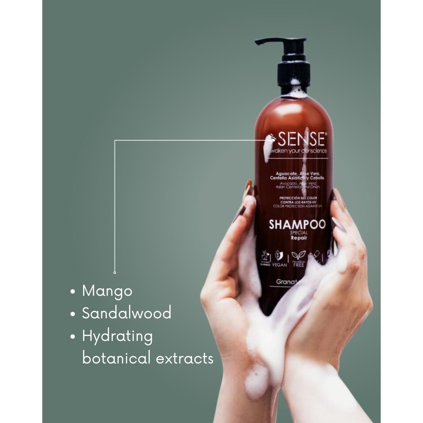 Champú Hidratante y Reparador Cosmetica Molecular 500 ml