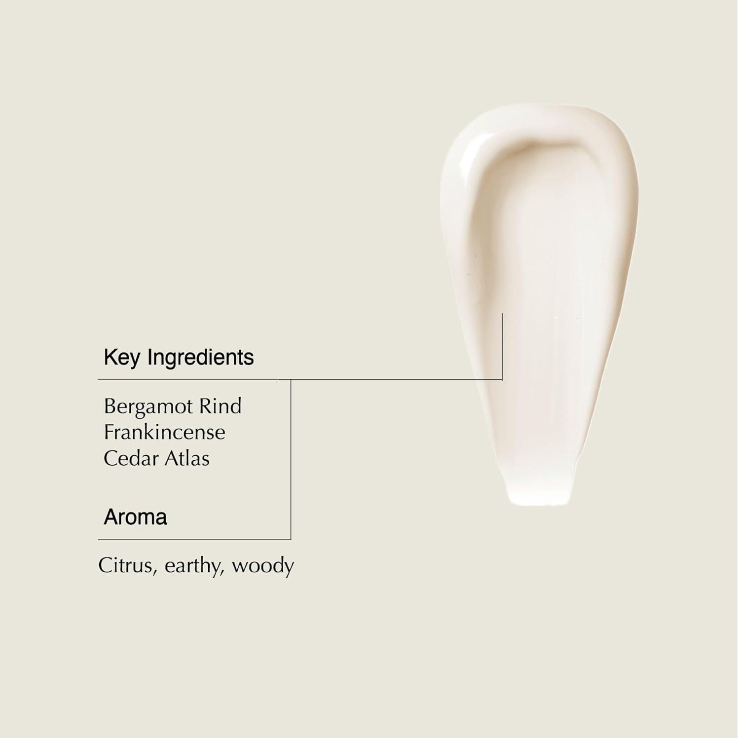 Conditioner | Soften and Hydrate All Hair Types | Nourishing Formula Enriched With Amino Acids | Citrus, Earthy, Woody | 16.9 oz / 500mL