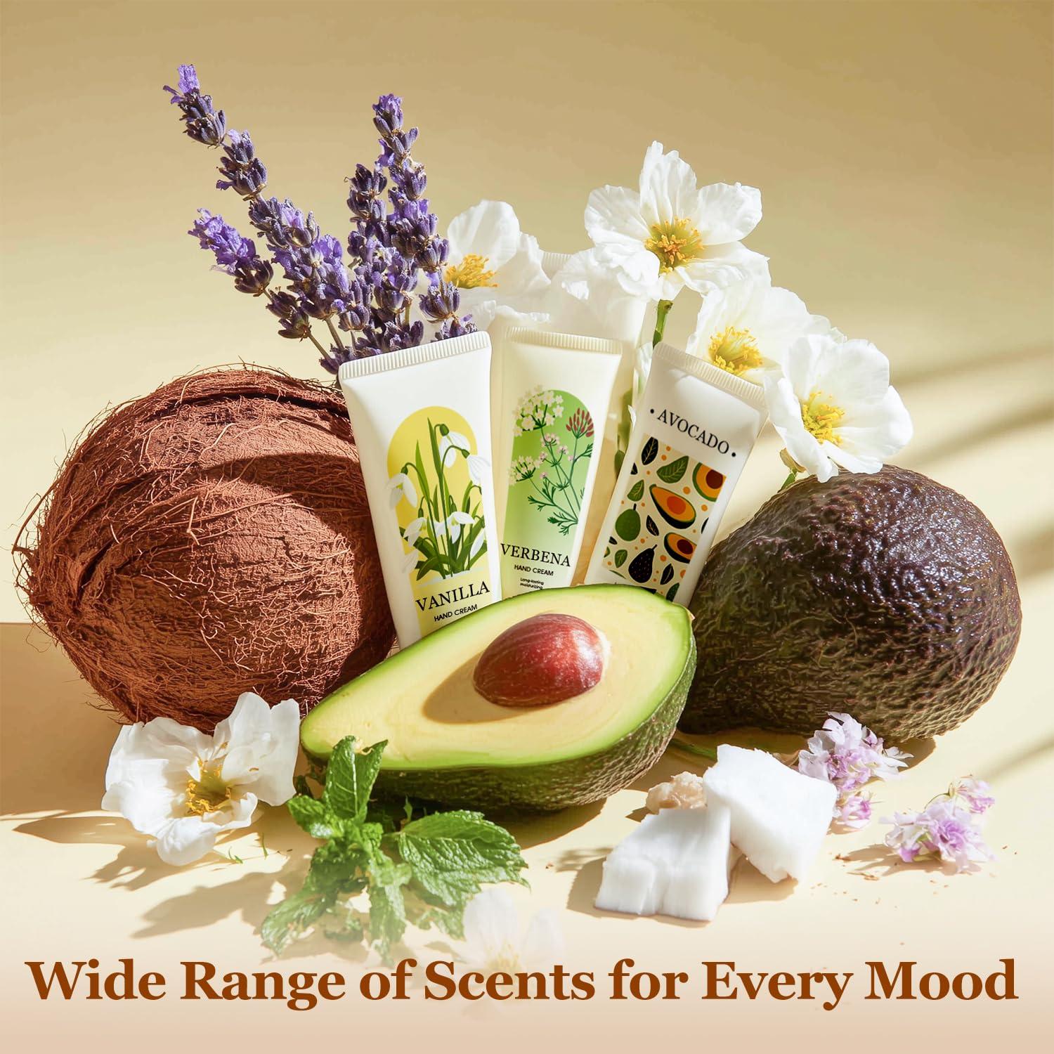 Set de 50 Mini Lociones de Manos BODY & EARTH 30ml