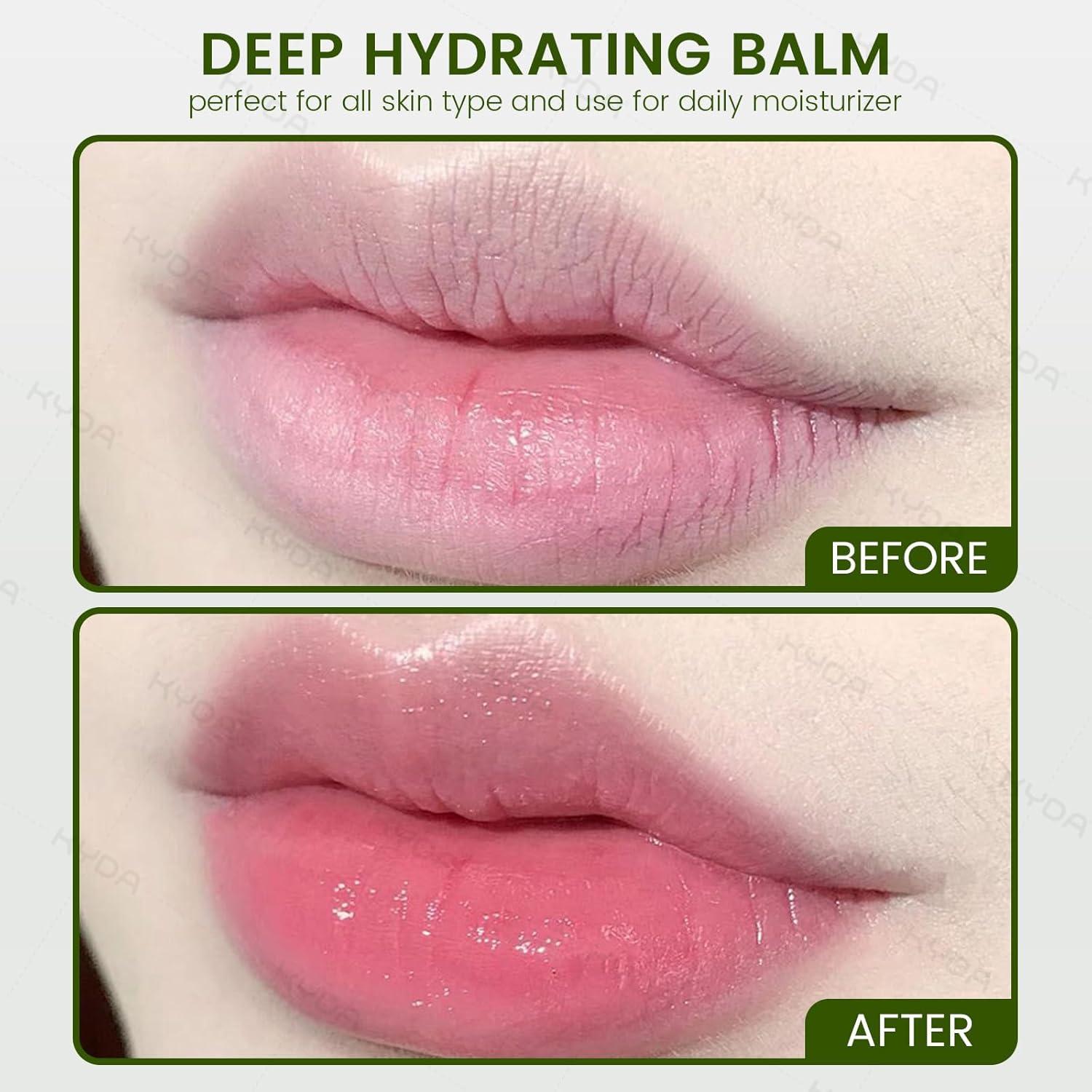 Bálsamo Labial Hidratante Ownest 5 Pcs Aloe Vera pH