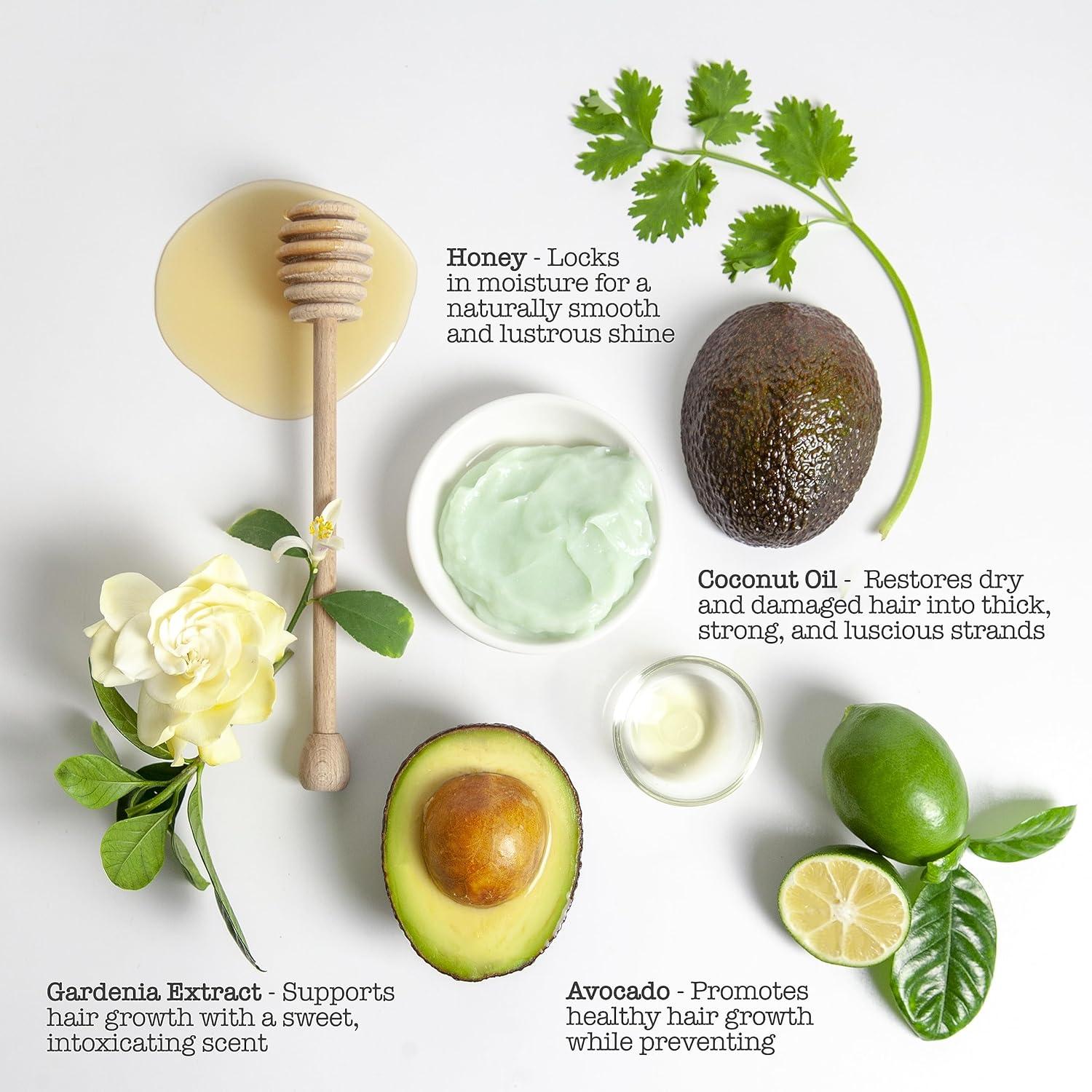 Mascarilla y Barra de Cera Guacamole Sauce Beauty - Hidratación Profunda