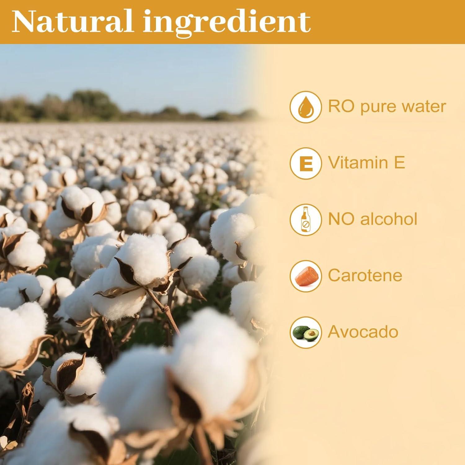 Toallitas Desmaquillantes Twoworld 100 Unidades Hidratantes