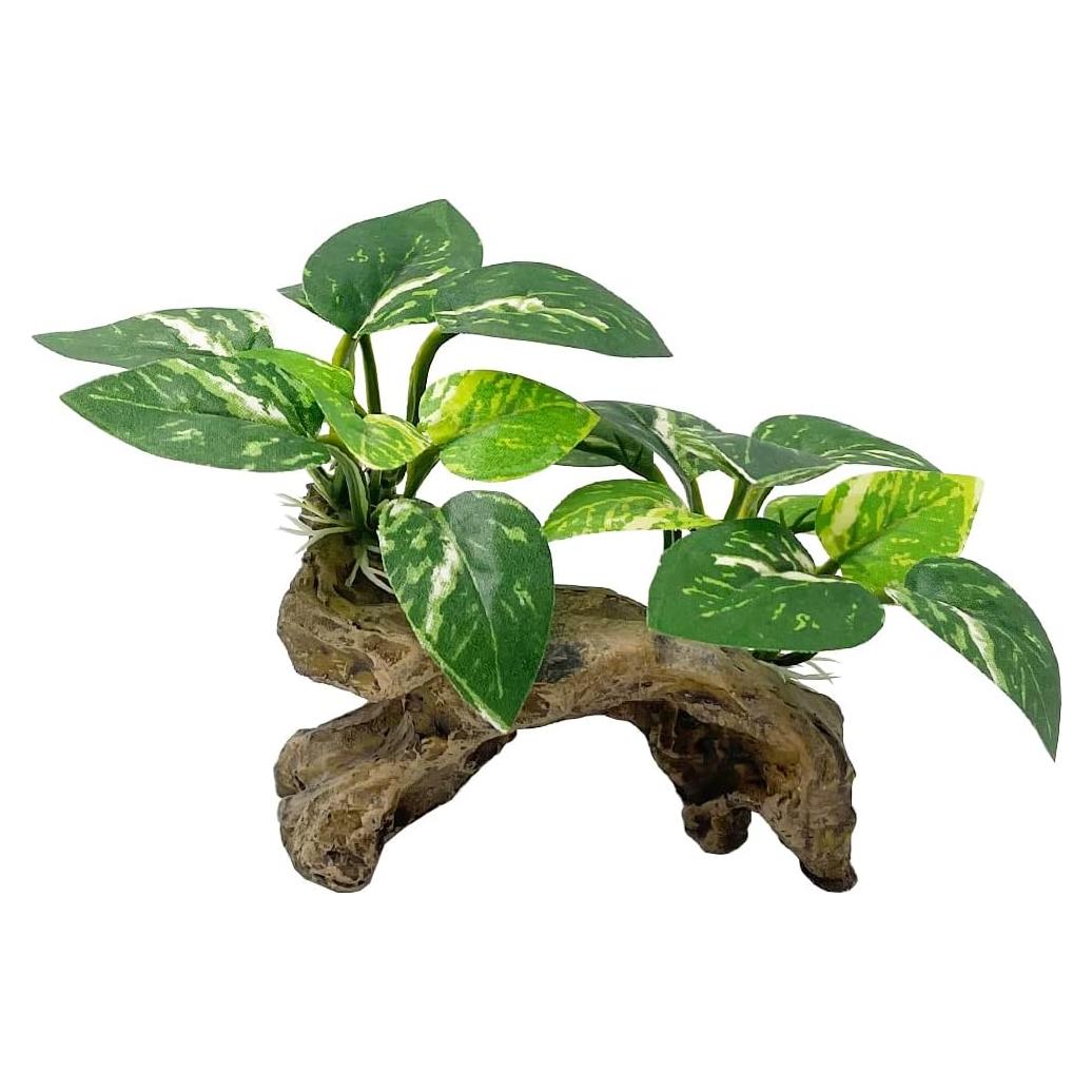 Decoración para Acuarios Smoothedo-Pets Tipo C Ecológica