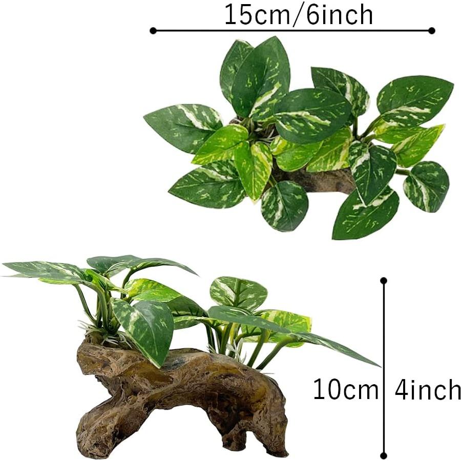 Decoración para Acuarios Smoothedo-Pets Tipo C Ecológica