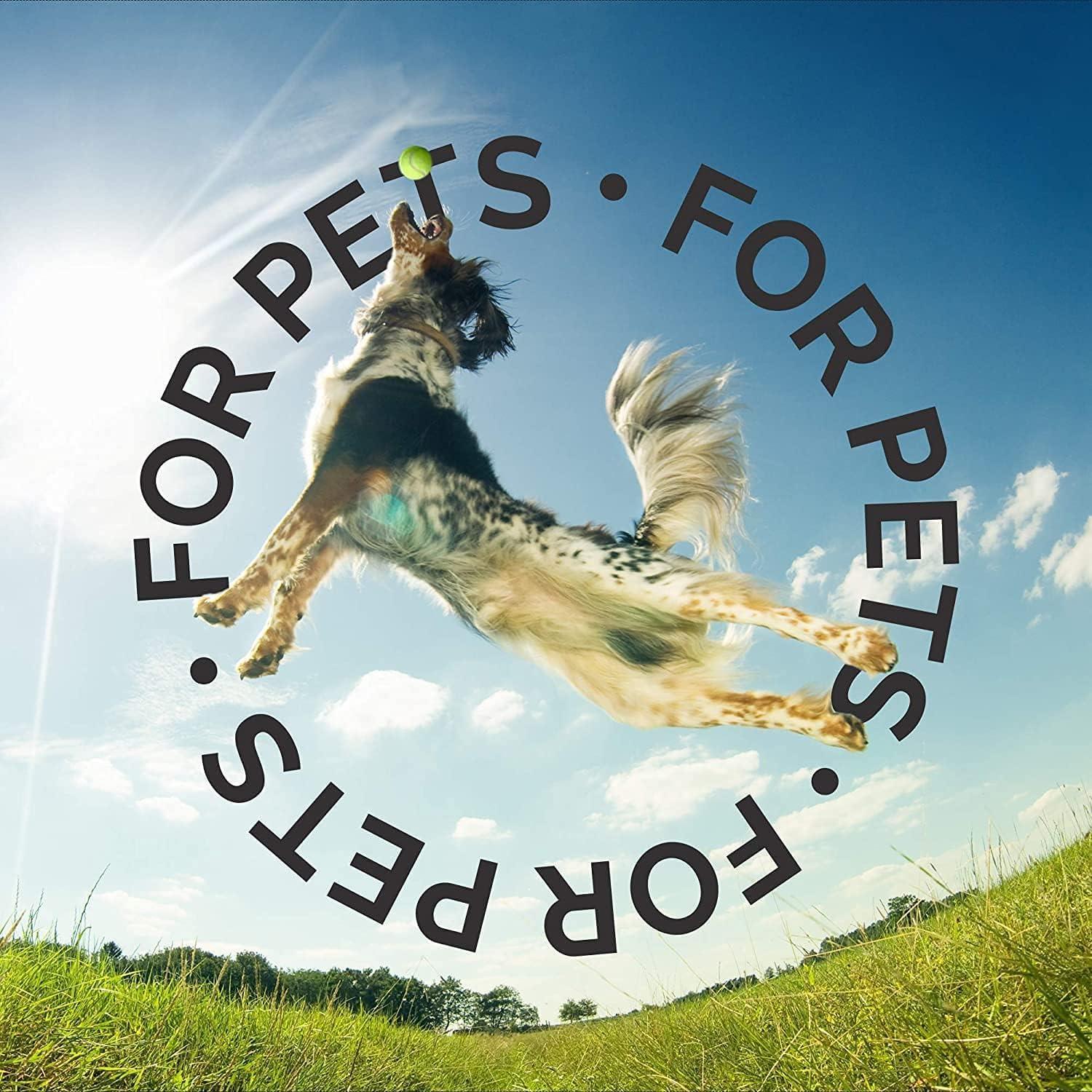 Acondicionador para Mascotas Bark2Basics 473ml Avena Coloidal