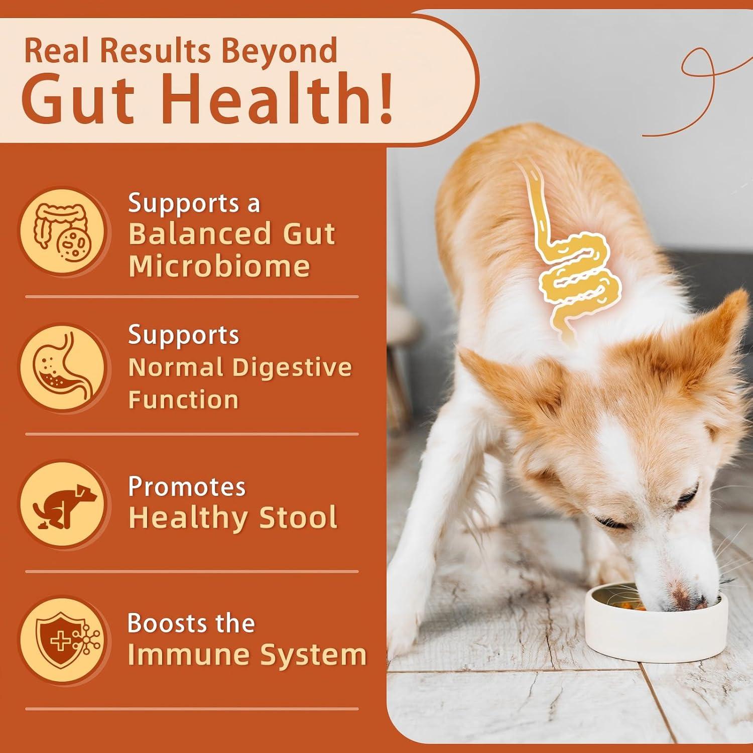 Probioticos para Perros ZEBORA 120 Masticables Sabor Calabaza