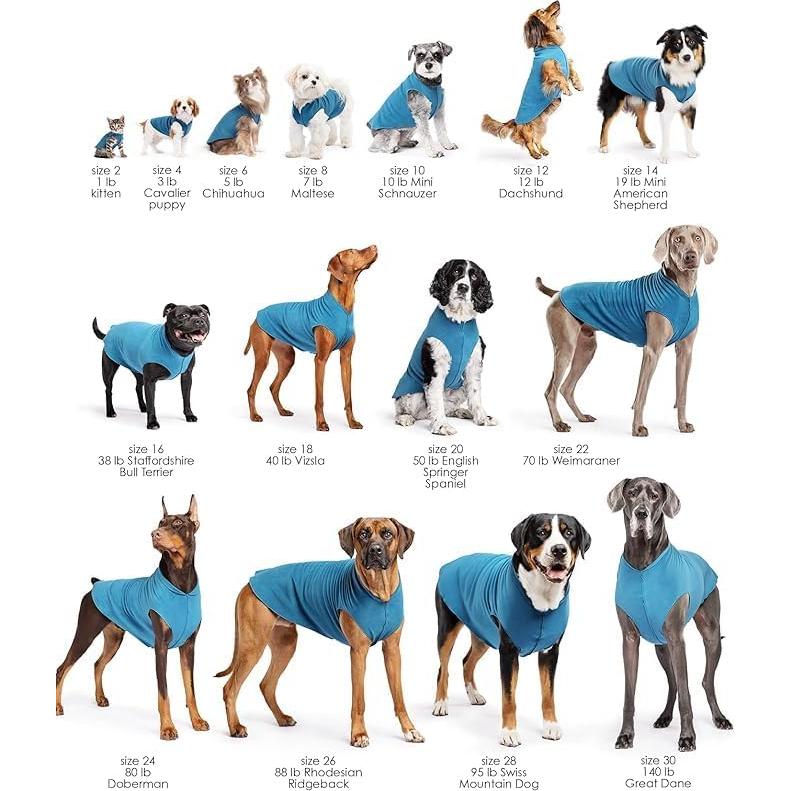 Camisa Solar para Perros Goldpaw UV Verde Pistacho T26