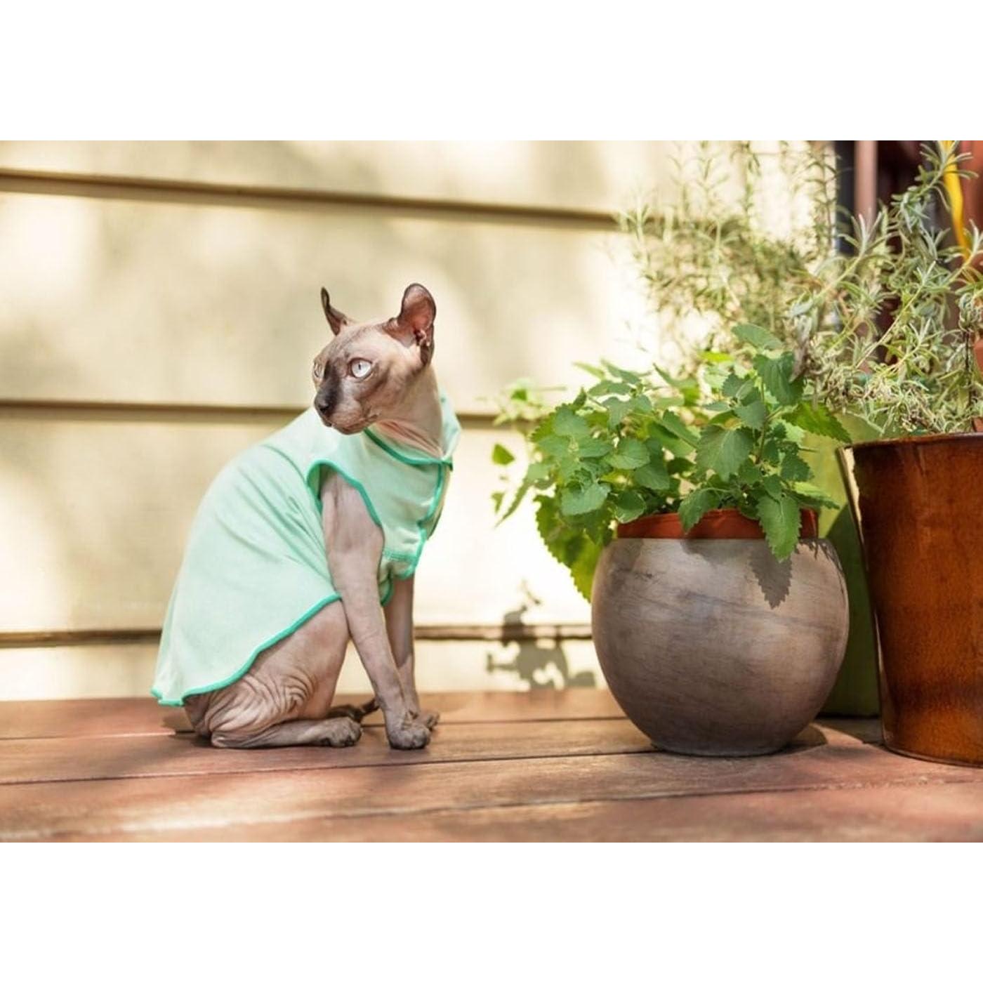 Camisa Solar para Perros Goldpaw UV Verde Pistacho T26