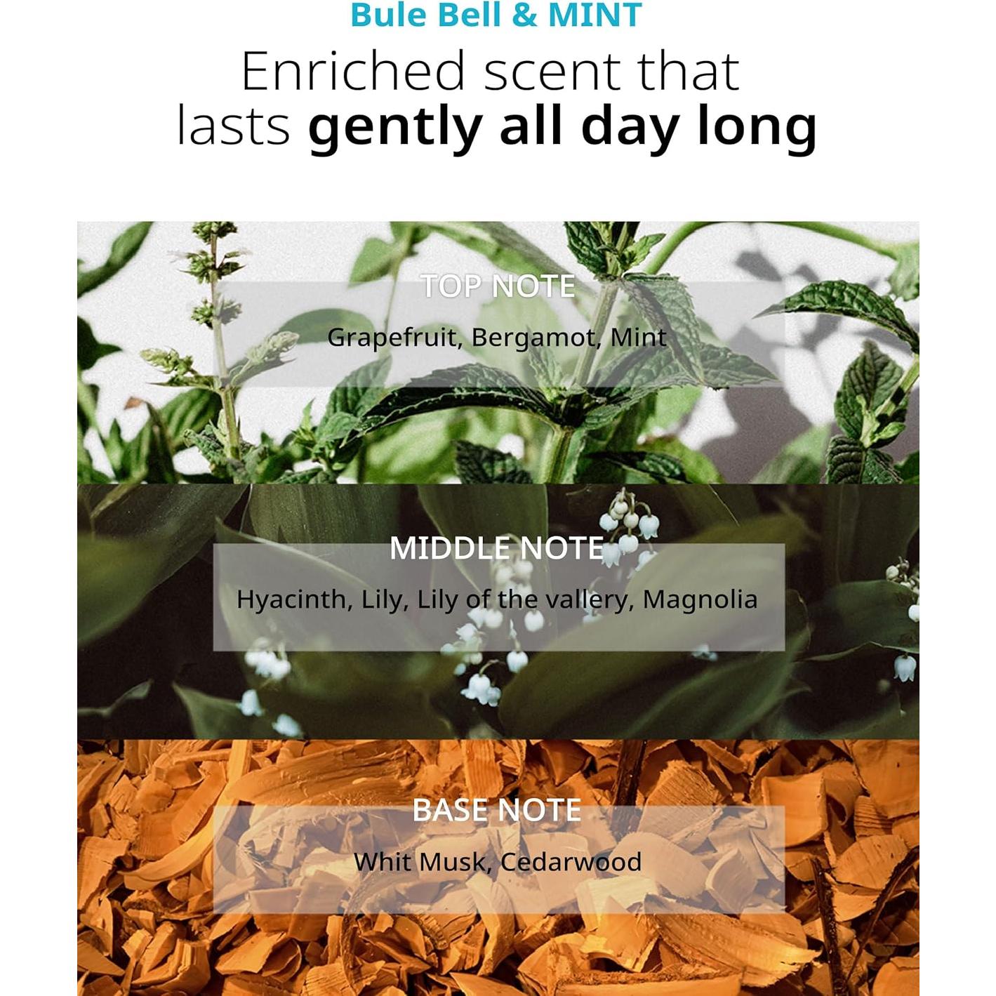 Champú Refrescante SAN TTEUT 502 ml pH 5.5 Menta y Almizcle