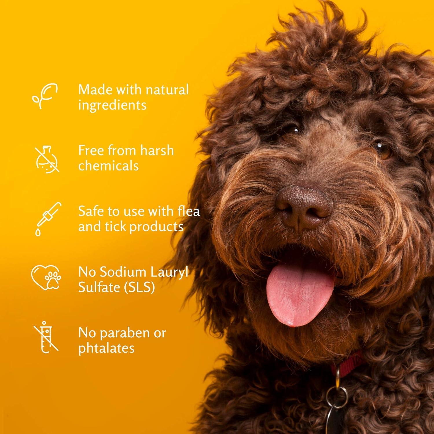 Champú y Acondicionador 2 en 1 Arm & Hammer para Perros 567g