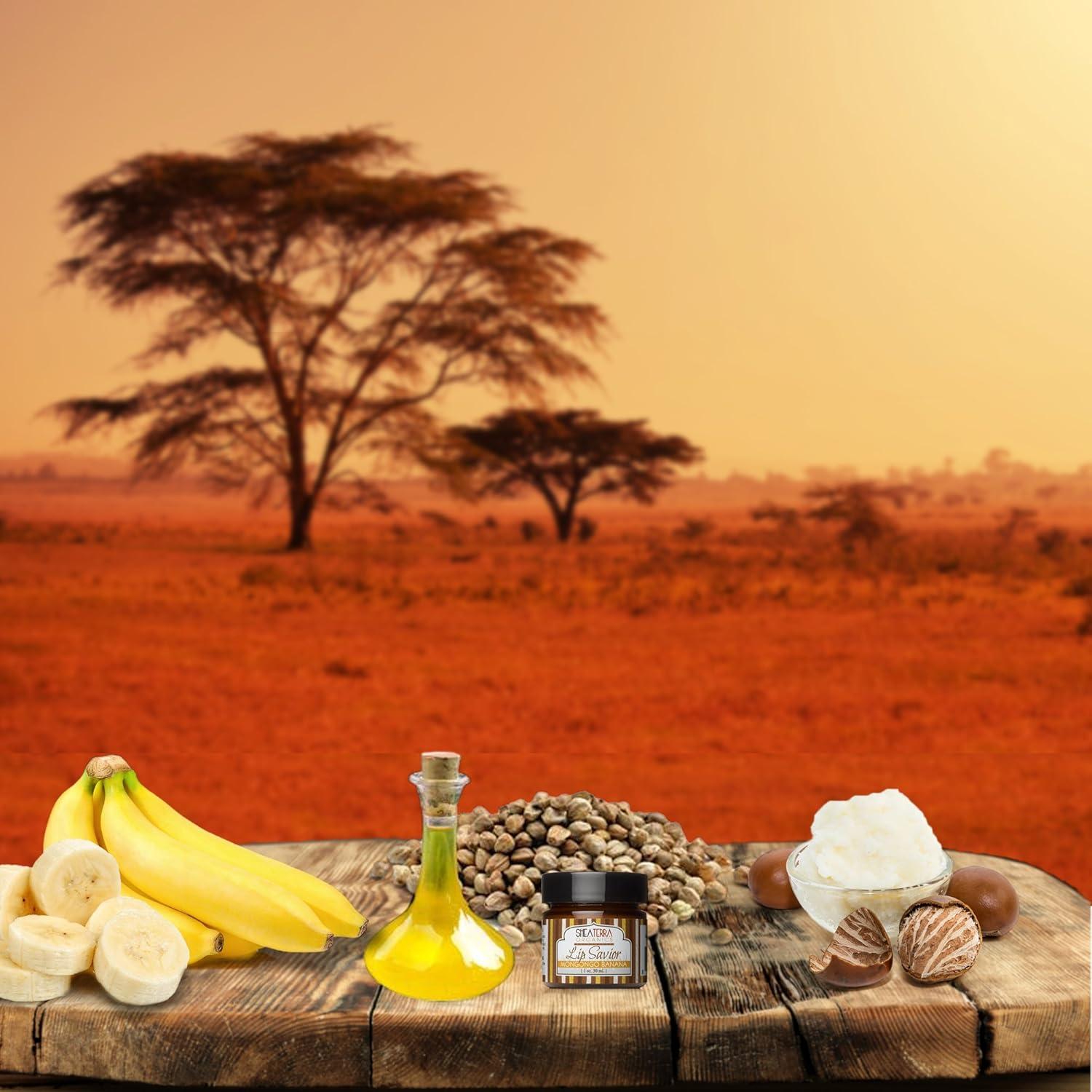 Bálsamo Labial Shea Terra Organics - Manteca de Karité 15g