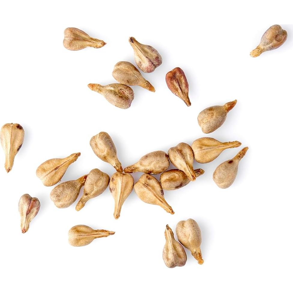 Aceite de Semilla de Uva Merlot 79g Hidratante Cosmético